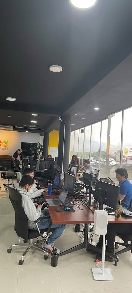 El piso de SEO Contenidos en plena jornada: filas de escritorios con monitores, el equipo trabajando y ventanales a lo largo de toda la pared.